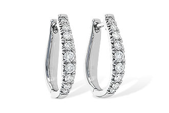 F245-30157: EARR .50 TW